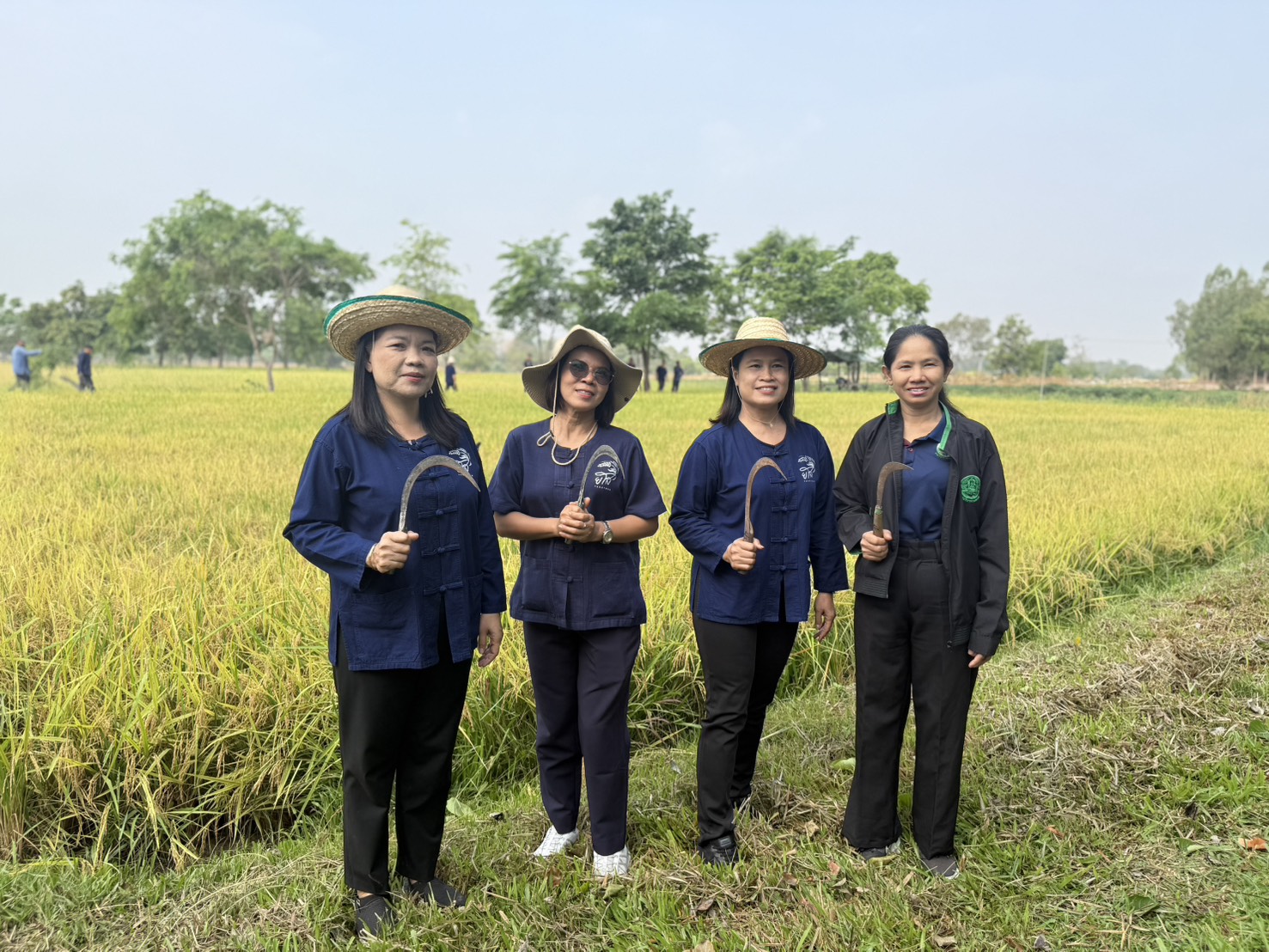 title - ส.ป.ก.ยโสธร ร่วมกิจกรรมเกี่ยวข้าว ภายใต้โครงการปลูกข้าวเฉลิมพระเกียรติ พระบาทสมเด็จพระเจ้าอยู่หัวฯ เนื่องในโอกาส มหามงคลเฉลิมพระชนมพรรษา 74 พรรษา